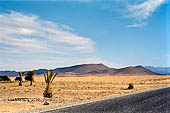 Marocco meridionale - Lungo la strada da Tiznit a Tafraoute.
